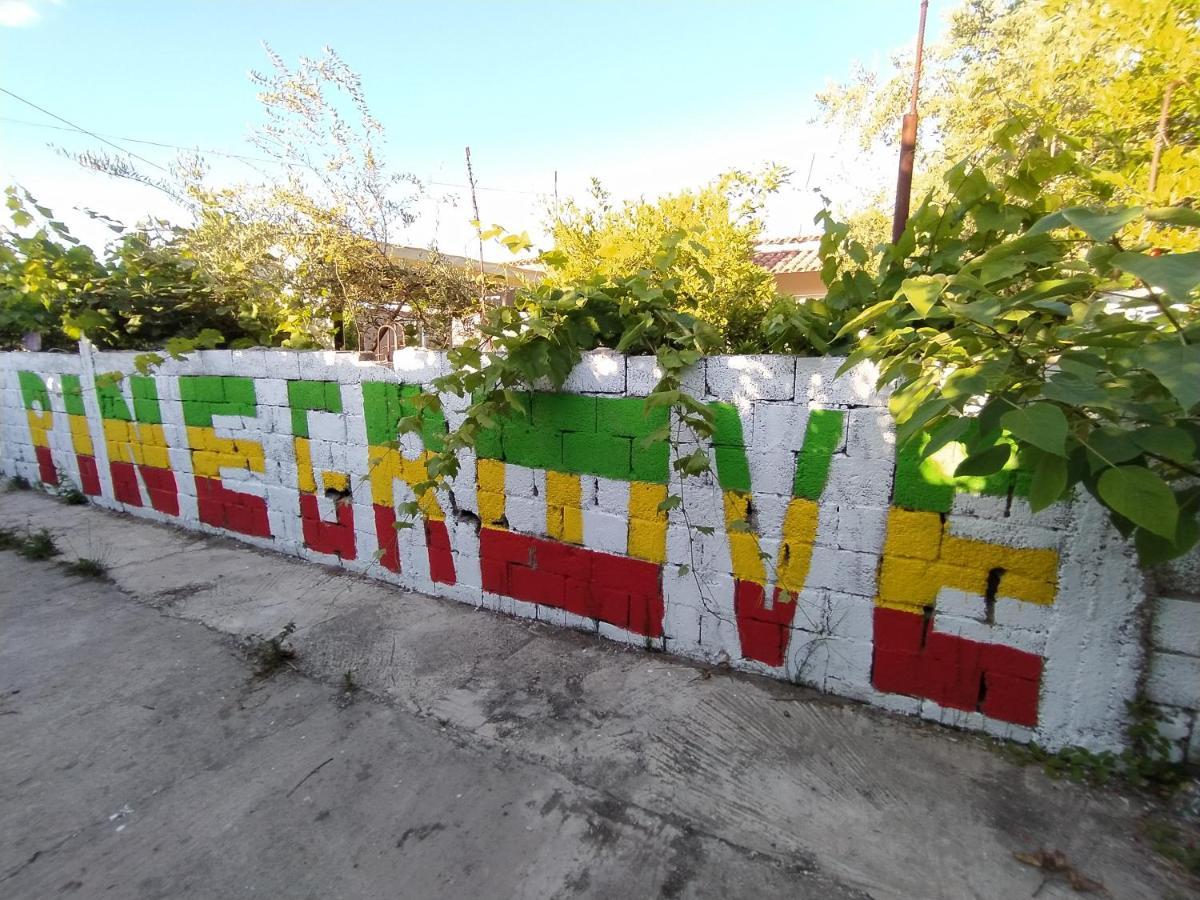 Pinegroove Hostel Vlora Εξωτερικό φωτογραφία