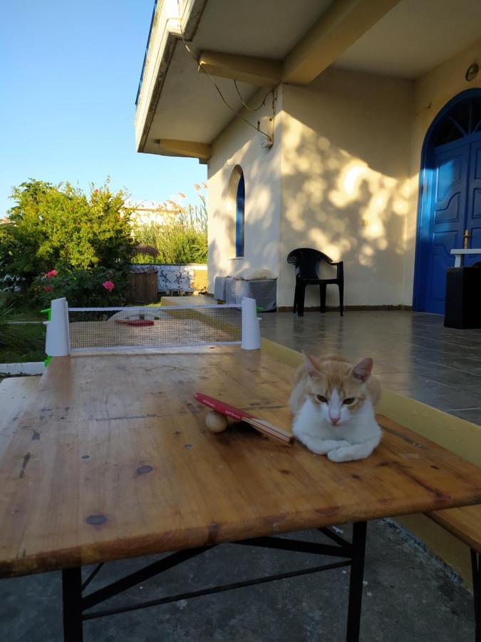 Pinegroove Hostel Vlora Εξωτερικό φωτογραφία