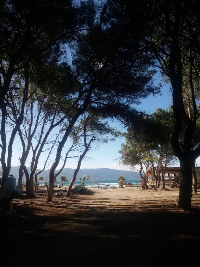 Pinegroove Hostel Vlora Εξωτερικό φωτογραφία