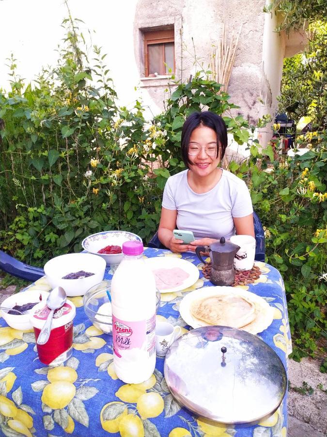 Pinegroove Hostel Vlora Εξωτερικό φωτογραφία